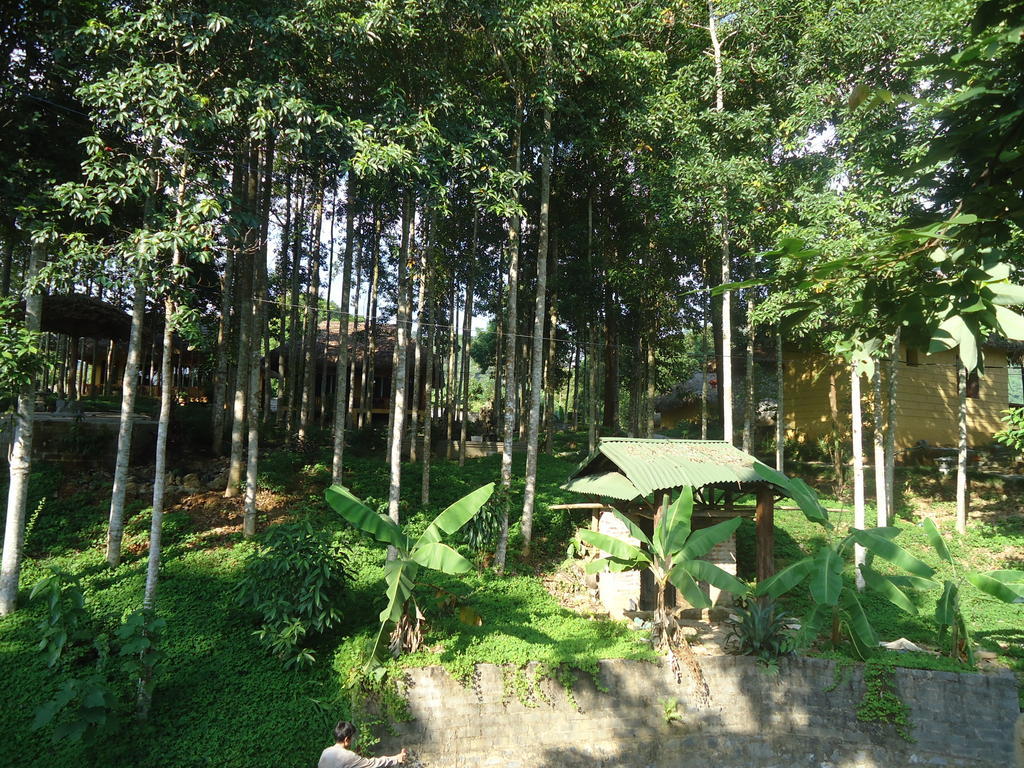 Truong Xuan Ecology 호텔 하 기앙 외부 사진